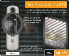 Telis Modulis RTS Simulation